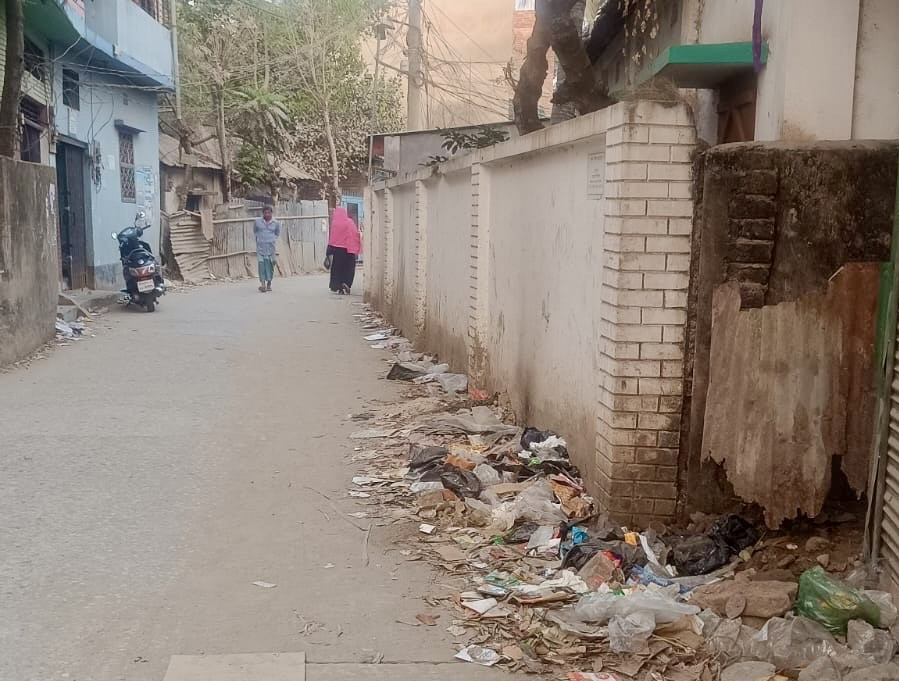 আখাউড়ায় পৌরশহরে মশার উপদ্রবে অতিষ্ঠ, নেই কোন  কার্যকর পদক্ষেপ